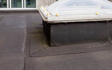 disadvantages of Copister flat roofs