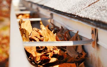 Copister gutter cleaning companies