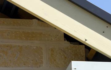 soffit repair Copister