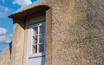 Copister thatch roof disadvantages